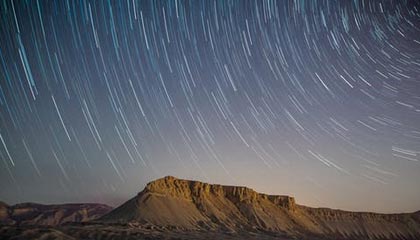 《园艺养成指南:狩猎丰收活动全新种子全收录》